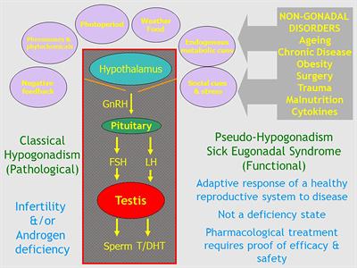 The Illusory Case for Treatment of an Invented Disease